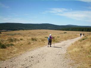Le Chemin
